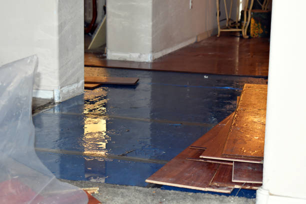 Professional Water Removal technician working in Rockford, IL